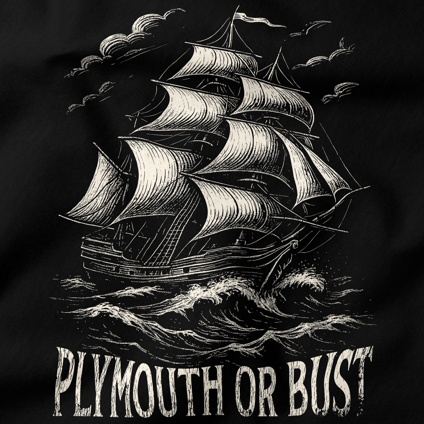 Plymouth or bust T-Shirt-T-Shirt-My Store-Ink and Empire