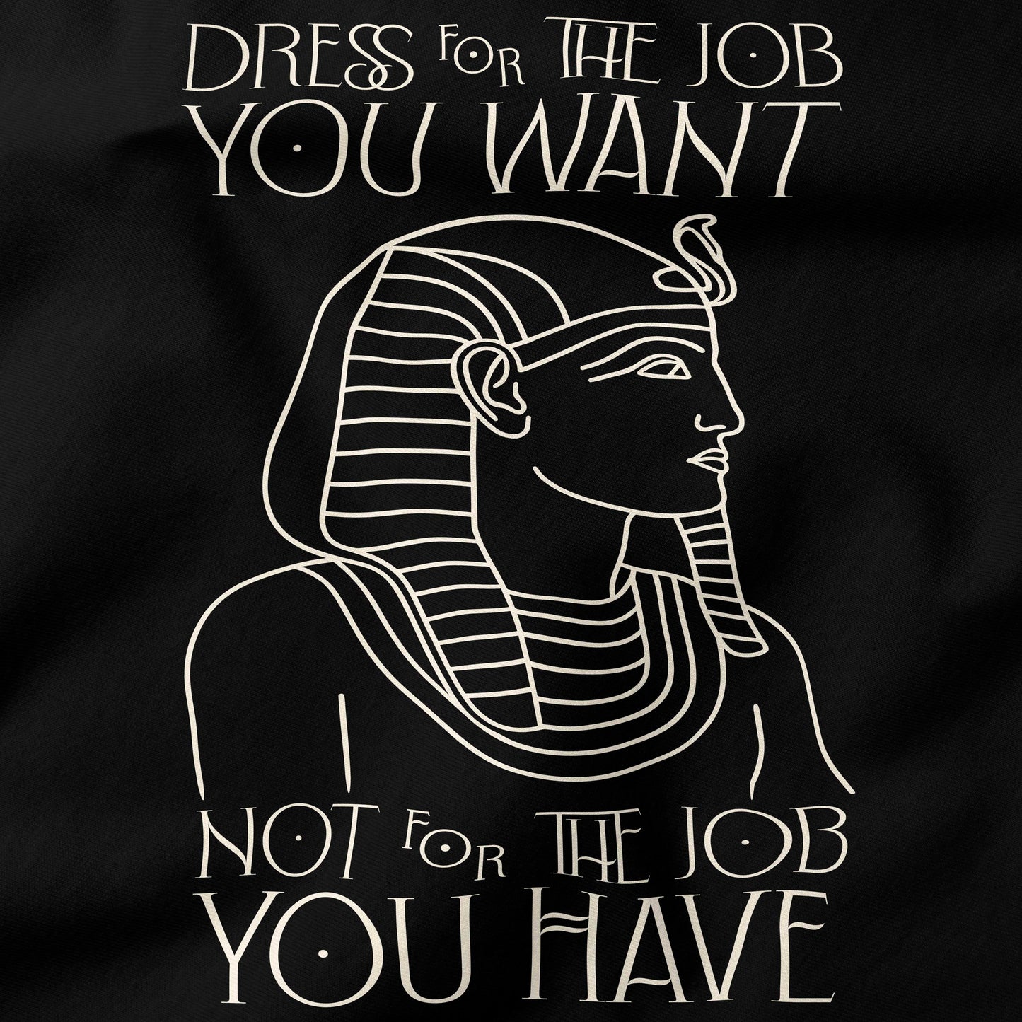 Dress for the job you want T-Shirt-T-Shirt-My Store-Ink and Empire