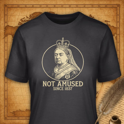 Not Amused T-Shirt-T-Shirt-My Store-Dark Grey-S-Ink and Empire