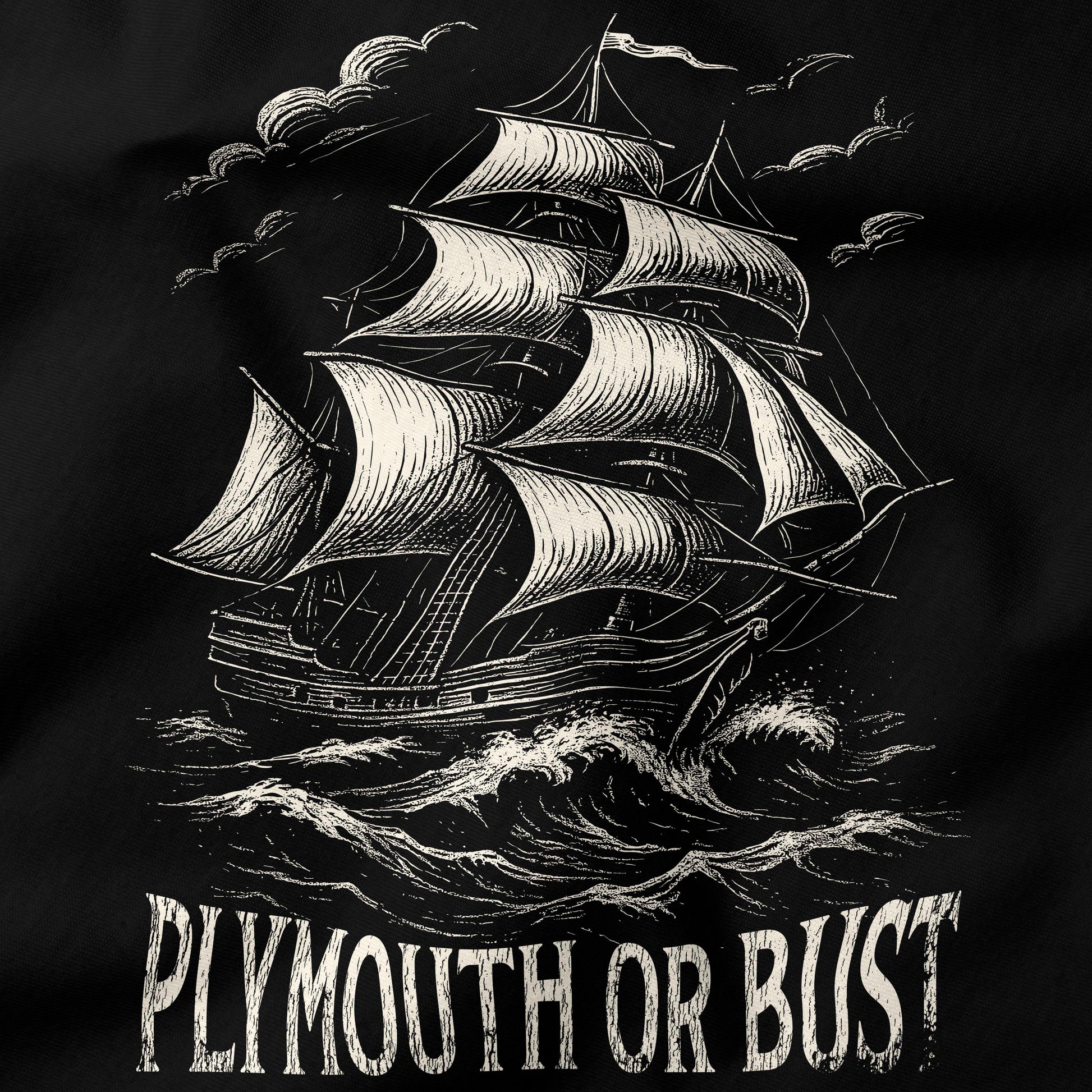 Plymouth or bust T-Shirt-T-Shirt-My Store-Ink and Empire